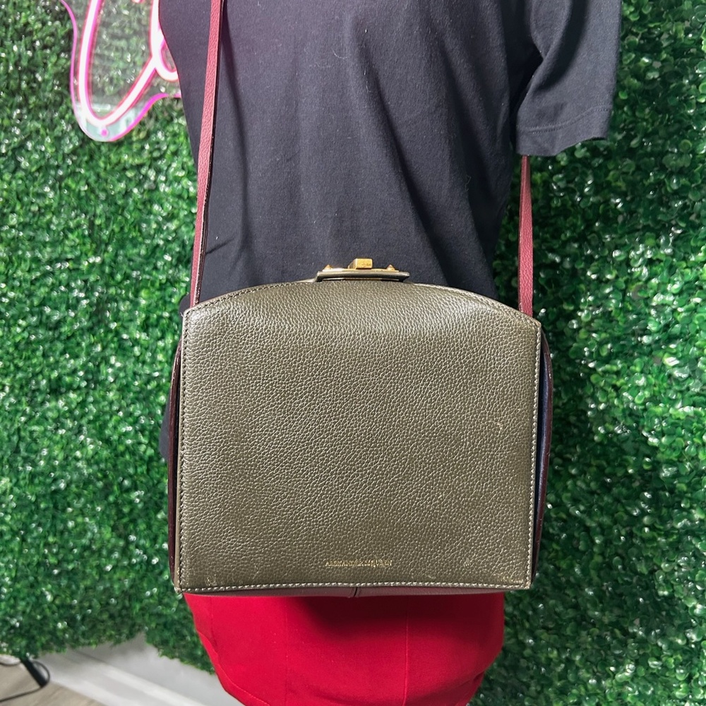 Alexander McQueen Colorblock crossbody